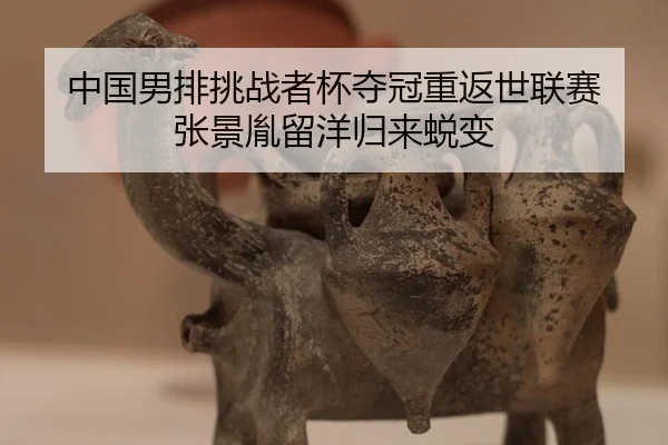 中国男排挑战者杯夺冠重返世联赛 张景胤留洋归来蜕变